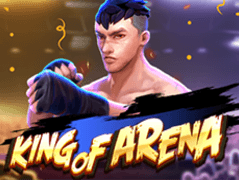 King Of Arena icon