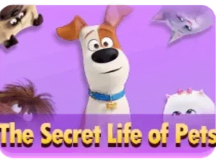 The Secret Life Of Pets